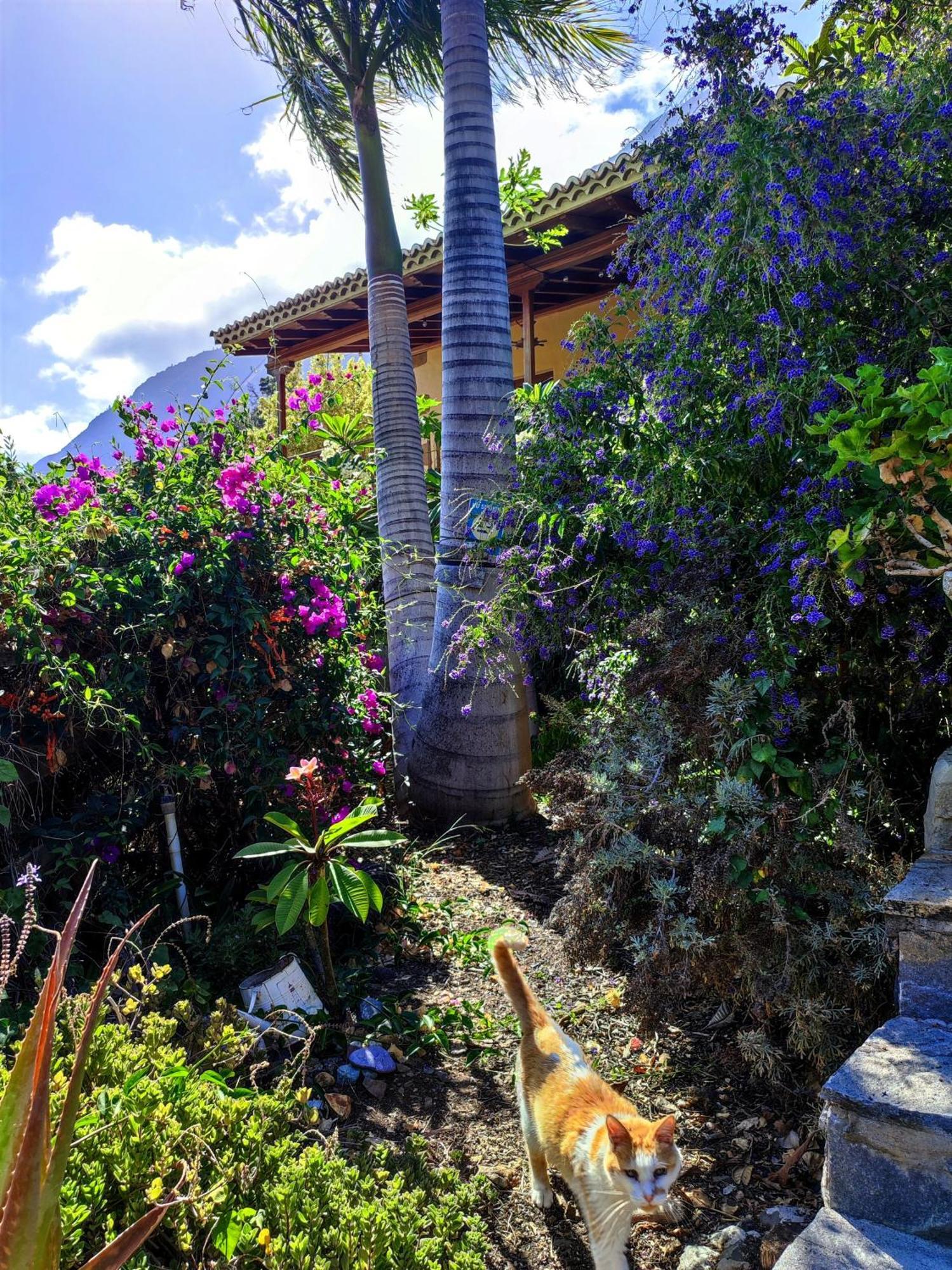 Villa Rivendell Centro de Arte y Retiro El Paso Esterno foto
